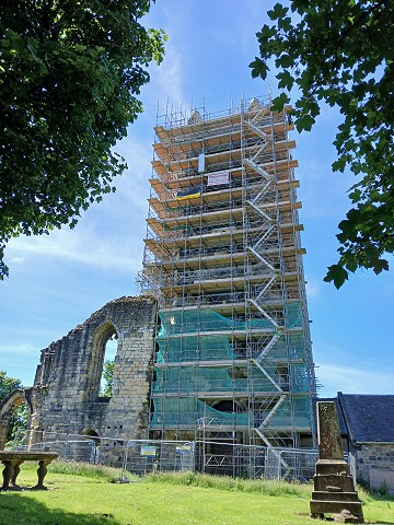 Tower June 2026